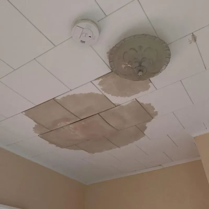 Ceiling Water Damage Repair in Dresden, TN