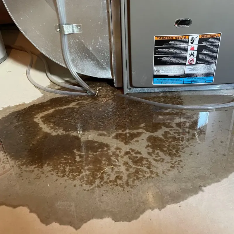 Pipe Burst and Leak Restoration in Dresden, TN