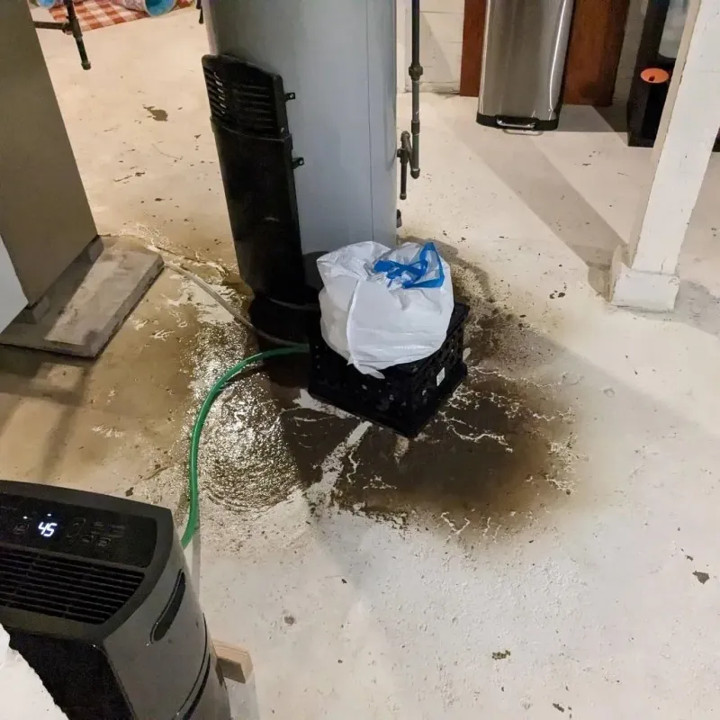 Sewage Backup Cleanup Service in Dresden, TN
